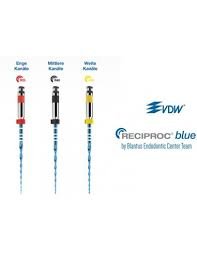 FILE RECIPROC BLU R50